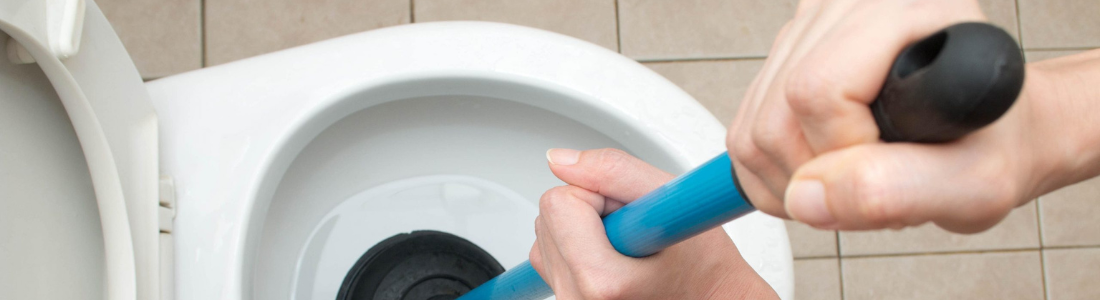 Vaso Sanitario entupido! O que fazer ?  24 HORAS